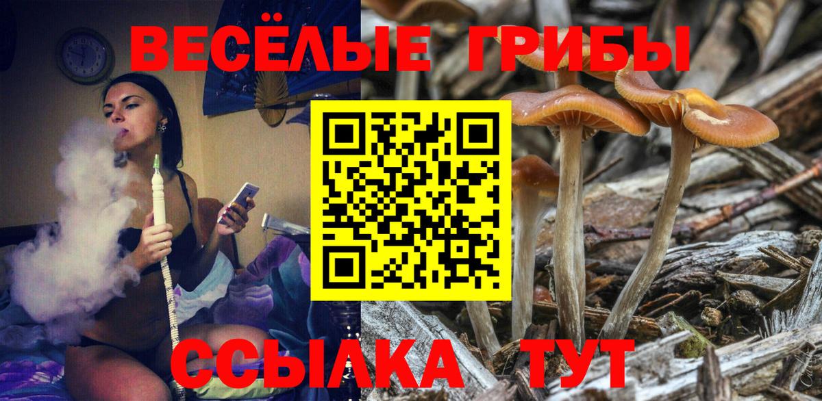 Галлюциногенные грибы Psilocybine cubensis Мыски