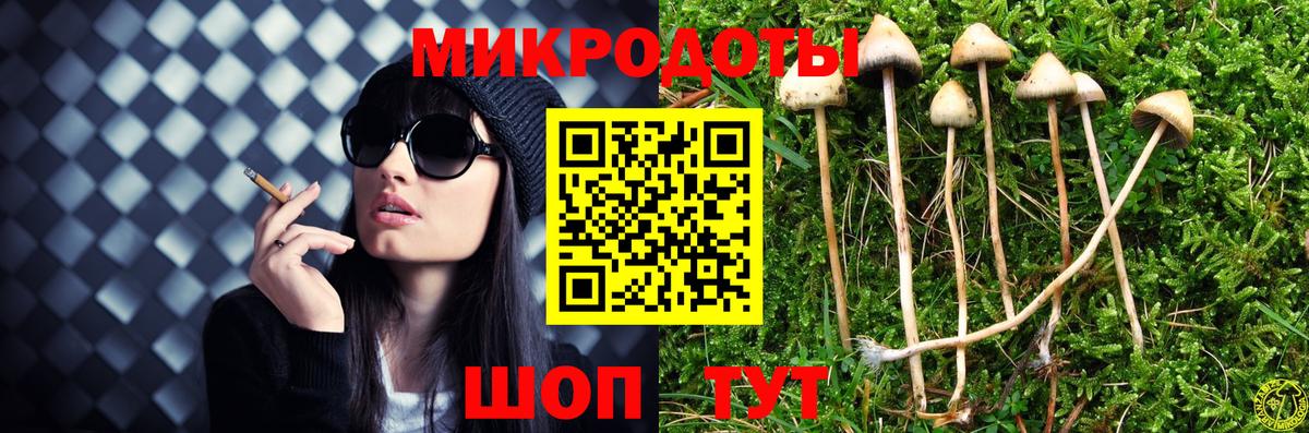 Псилоцибиновые грибы Psilocybine cubensis  Псилоцибиновые грибы Psilocybe  Вход с VPN  Мыски 